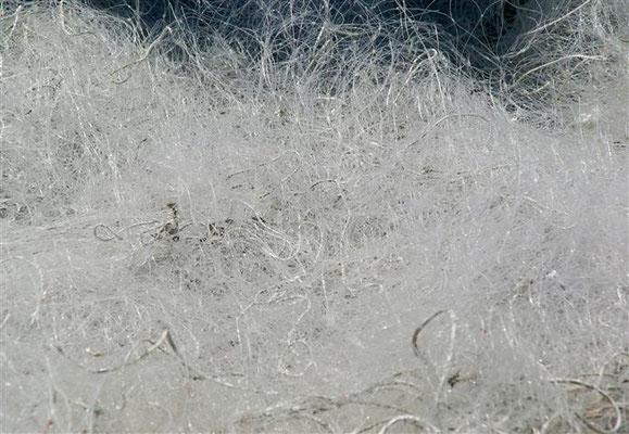 abstrakt- das filigrane Wirrwarr eines Fischernetzes
