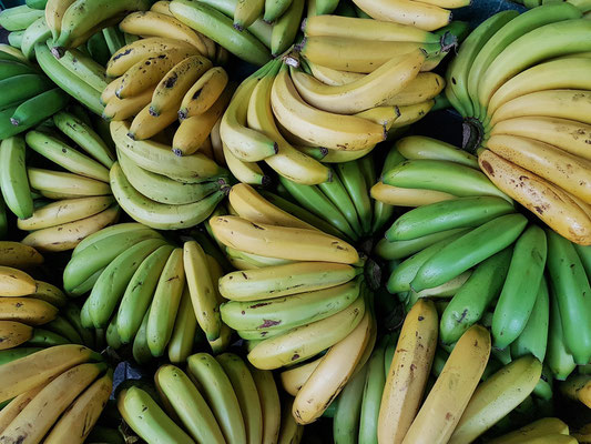 Bananen  in der Markthalle von Ponta Delgada