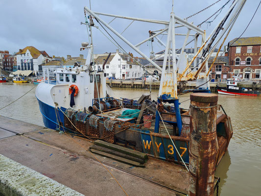  Mackerel Fishing Trips Weymouth