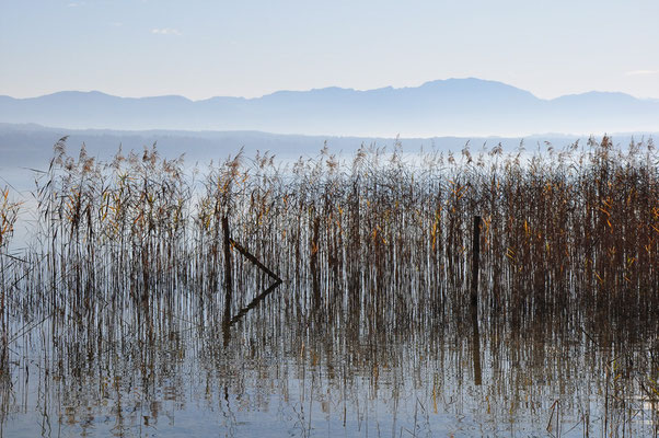 Starnberger See, 20.11.2011