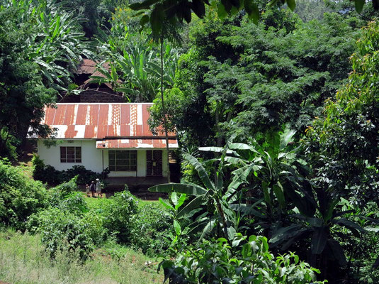 Wohnhaus bei Marangu