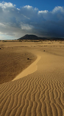 Parque Natural de Corralejo, Blick nach S zur Montaña Roja