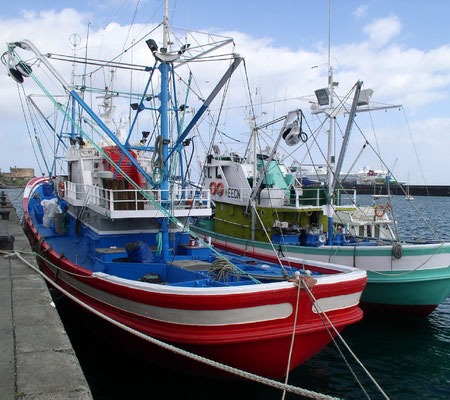 Arrecife. Fischerhafen