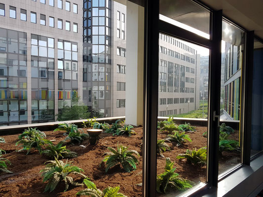 Blick aus meinem Hotel Aloft Brussels Schuman im Europa-Viertel