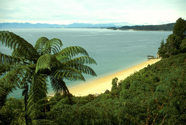 NZ Abel Tasman Track