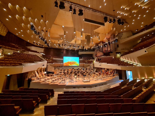 Berliner Philharmonie, Großer Saal