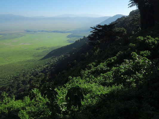 Blick vom Aussichtspunkt an der Straße B 144 in den Ngorongoro-Krater