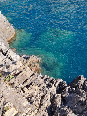 Manarola, Blick hinab zur Felsenküste