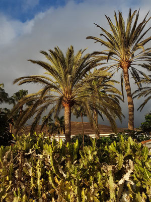 Morro Jable, Calle Acantilado vor dem Robinson Club Jandía Playa