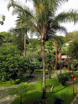 Park Jardim Duque de Terceira