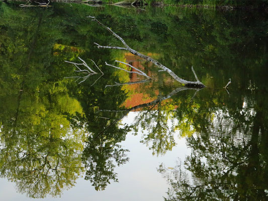 Impression am Amtssee