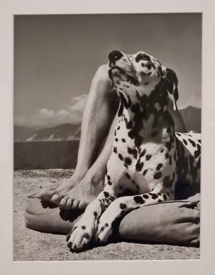 Herr und Hund, Portofino 1936  (Münchner Stadtmuseum, Sammlung Fotografie). 