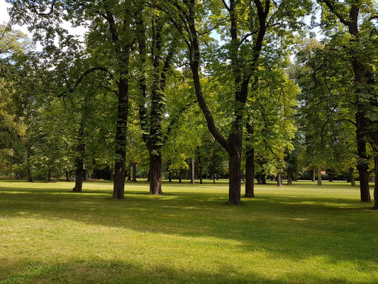 Park von Schloss Pillnitz