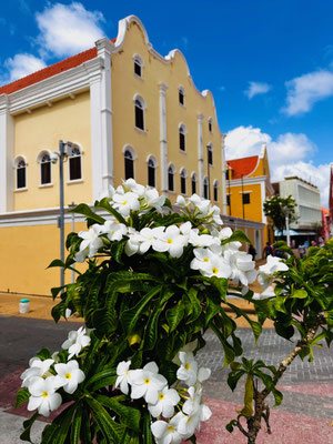 Willemstad/Curacao