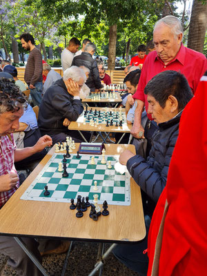 Schachspieler auf der Plaza de Armas