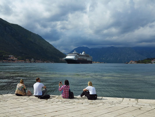 Bucht von Kotor mit dem Kreuzfahrtschiff "Veendam"