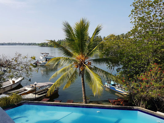 Blick auf den Swimmingpool und den Bentota Ganga