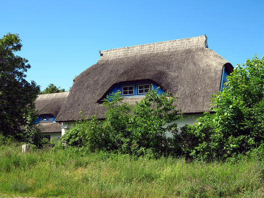 Reetgedecktes Haus in Kloster