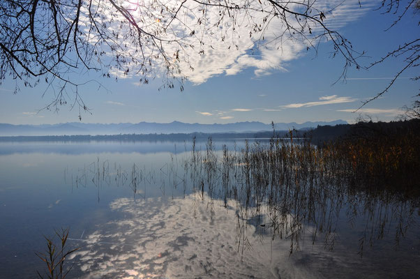 Starnberger See, 20.11.2011