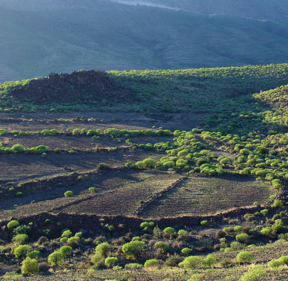 Landschaft mit Lesesteinmauern südlich von Santa Lucia