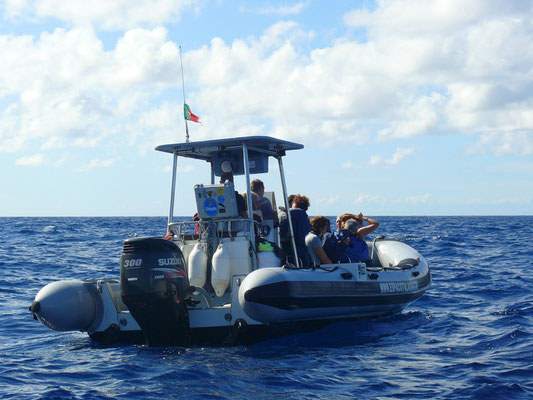 12-Personen-Hartboden-Schlauchboot für Walbeobachtung, eine Tortur für Leute mit Rückenproblemen