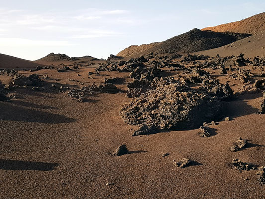 Rundfahrt per Bus durch den Nationalpark: Lava über Aschefeldern