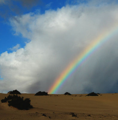 Parque Natural de Corralejo