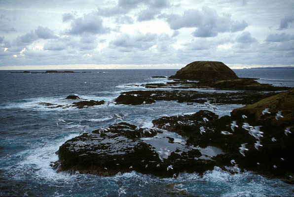 AUS Phillip Island
