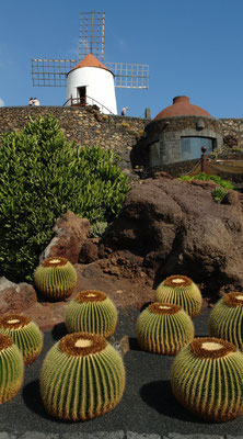 Im Jardín de Cactus