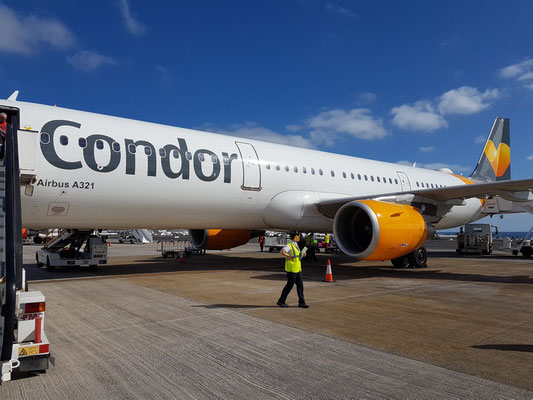 Unsere Condor A 321 auf dem Flughafen Lanzarote nach der Landung