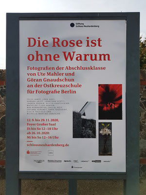 Plakat für die Fotoausstellung "Die Rose ist ohne Warum"