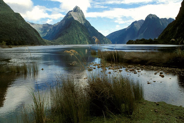 NZ Milford Sound