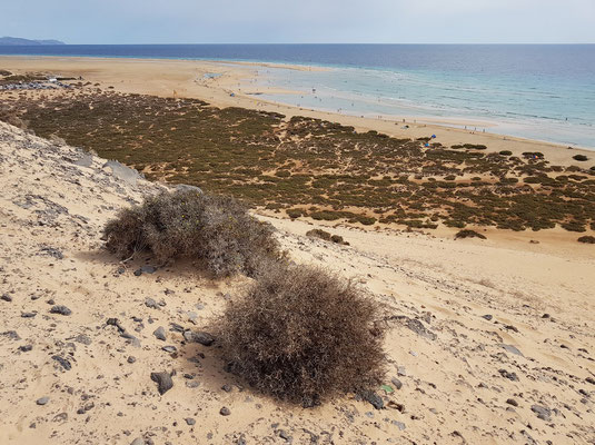 Blick von der Steilküste oberhalb der Großen Düne an der Playa de Sotavento