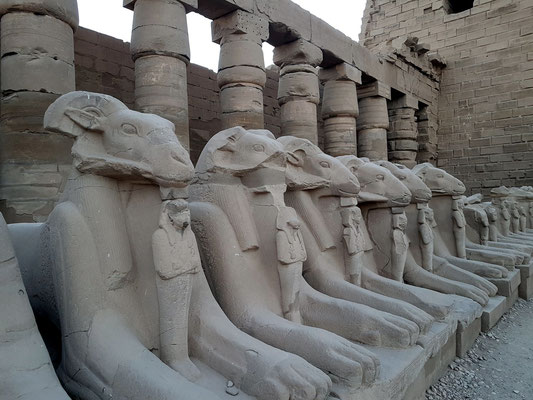 Widdersphingen vor den Kolonnaden im 1. Hof. Zwischen ihren Vordertatzen halten sie kleine Figuren des König - in der Pose des Osiris.
