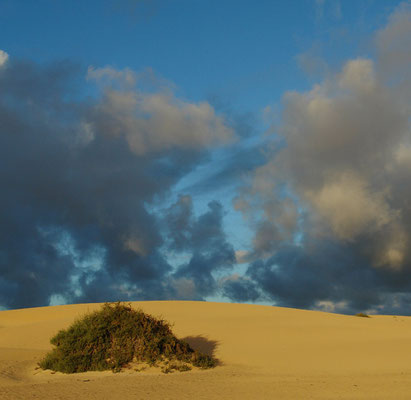 Parque Natural de Corralejo