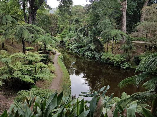 Furnas, im Park der Therme Terra Nostra