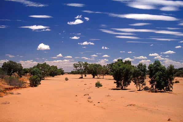 AUS Creek nördlich von Coober Pedy