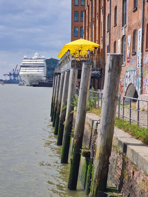 Blick vom Elbspeicher zum Kreuzfahrtschiff MCS Magnifica