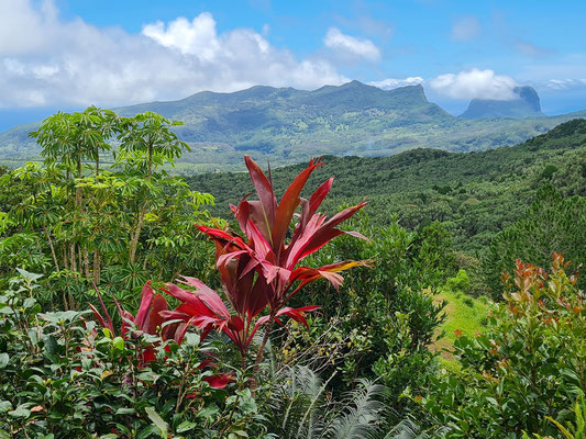 Landschaft in Mauritius