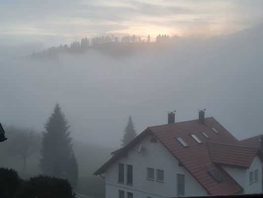 Ferienhaus Schäfer in Todtnauberg, Blick aus meinem Schlafzimmer ins nebelverhangene Todtnauberg