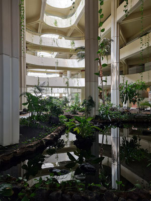 Hotel Melià Salinas, Garten und Wasserlandschaft