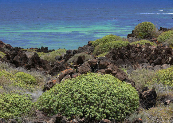 Punta del Palo, Küstenlandschaft südöstlich von Orzola