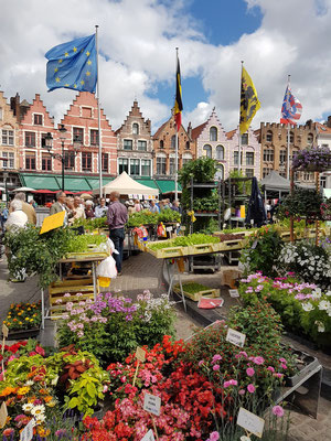 Blumenstände auf dem Markt von Brügge