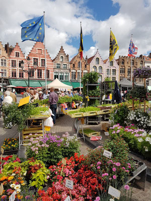 Blumenstände auf dem Markt von Brügge