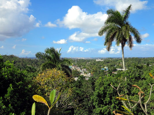 Blick von der Finca Vigía nach Havanna