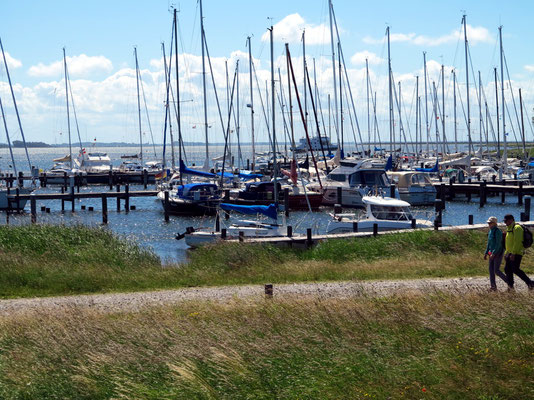 Wanderung von Vitte nach Kloster (Hiddensee), im Hintergrund der Sportboothafen Vitte