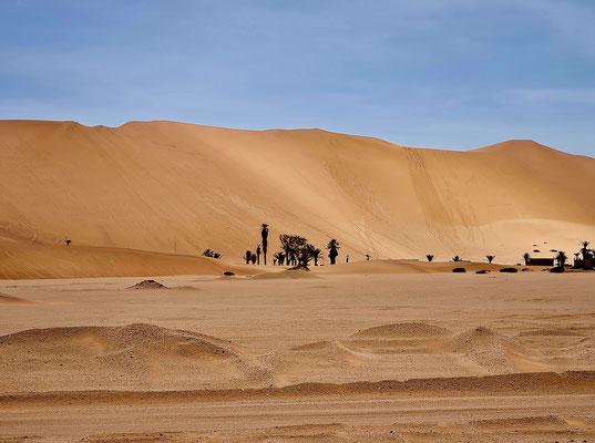 Hohe Sanddünen im Hinterland von Walvis Bay