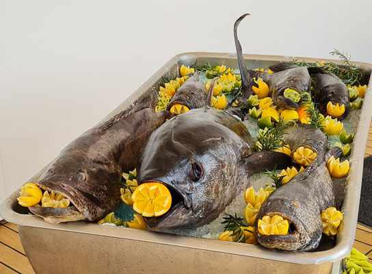 Zum Lunch: Frischer Thunfisch für die Zubereitung von Steaks auf dem Pooldeck