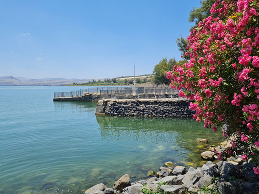 Ufer des Sees Genezareth
