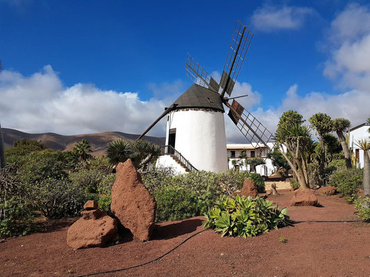 Antigua, Windmühle beim Museo del Queso Majorero